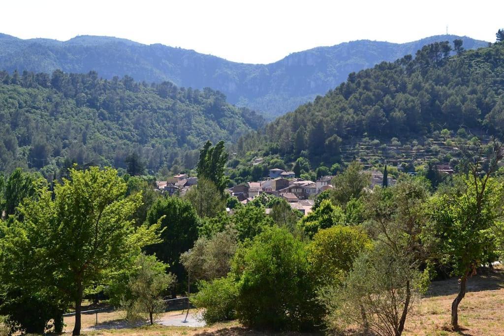 Cosy Provencal Appartement Belgentier Buitenkant foto