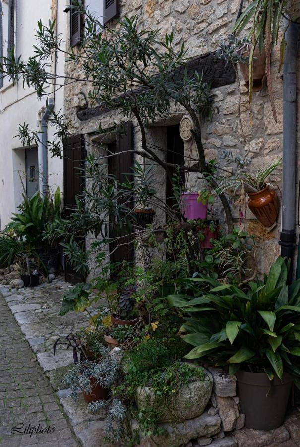 Cosy Provencal Appartement Belgentier Buitenkant foto
