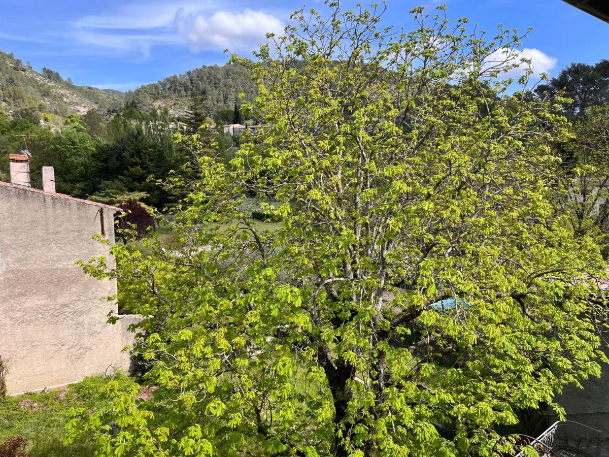 Cosy Provencal Appartement Belgentier Buitenkant foto